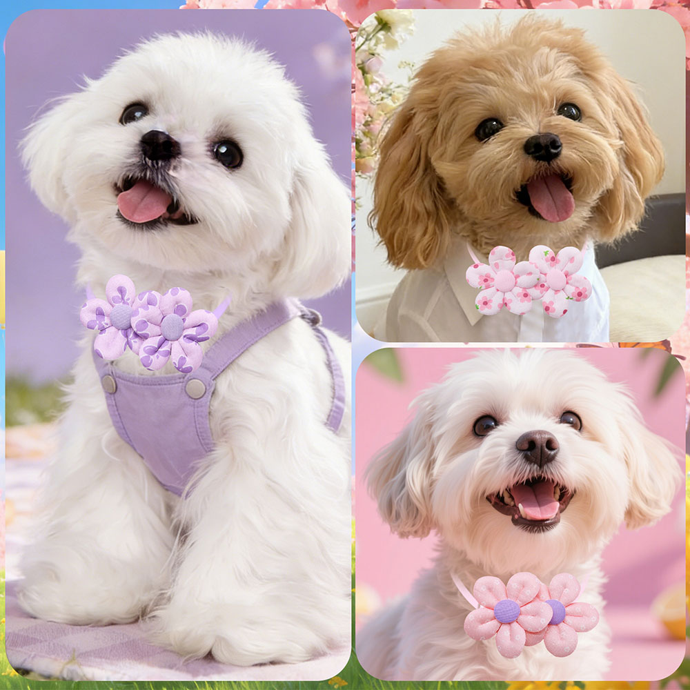 10PCS Flower Shape Sweet Dog B - đánh giá và giá Pet Supplies Coupon