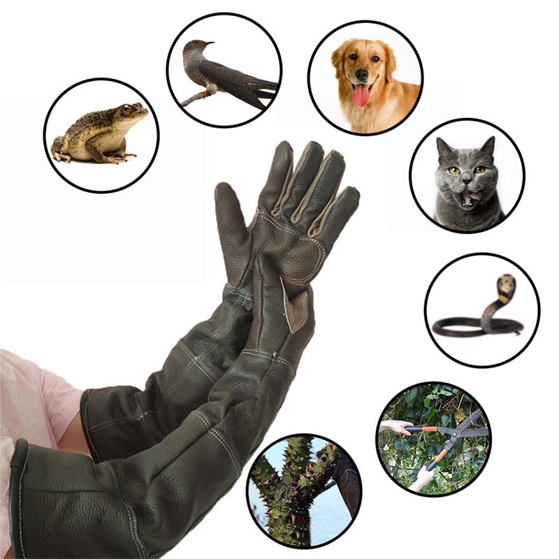 Pet Gloves Cowhide Leather Ant - đánh giá và giá Pet Grooming Glove