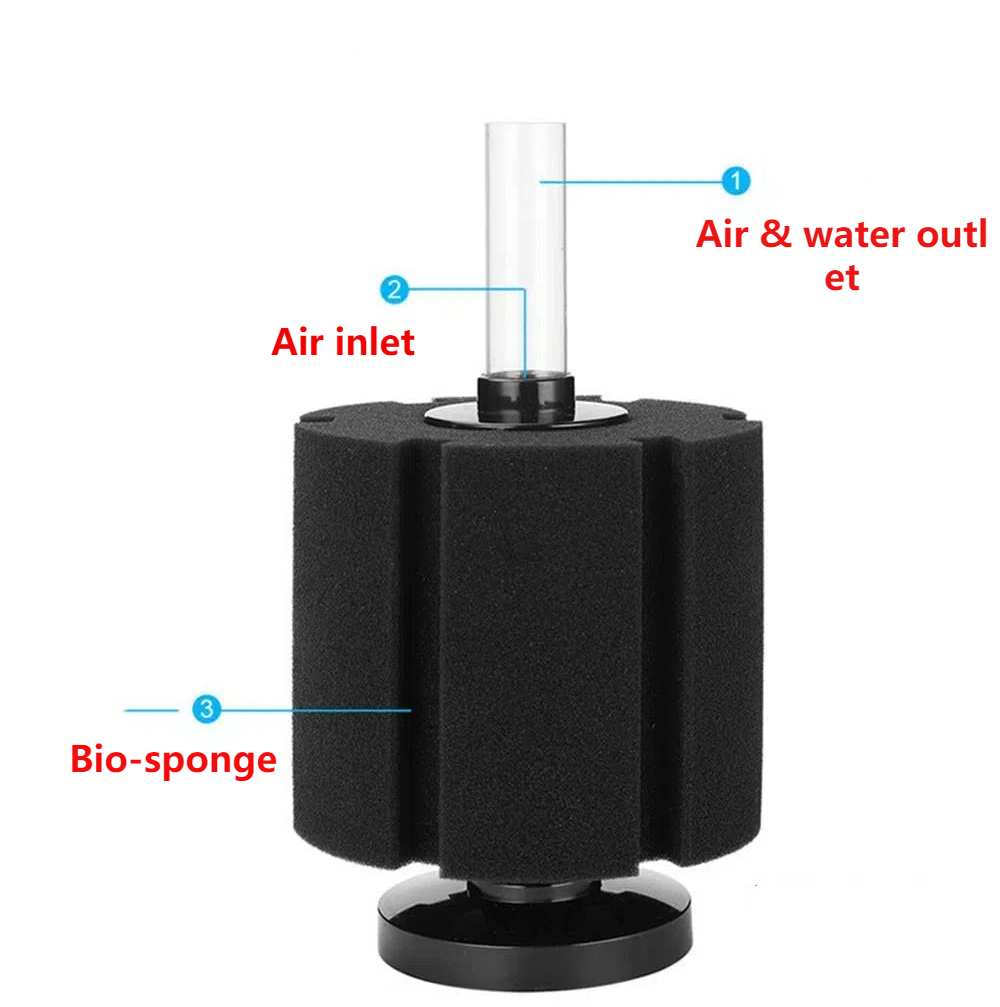 Aquarium Filter Sponge For Fis - đánh giá và giá Aquael Filter Fzn