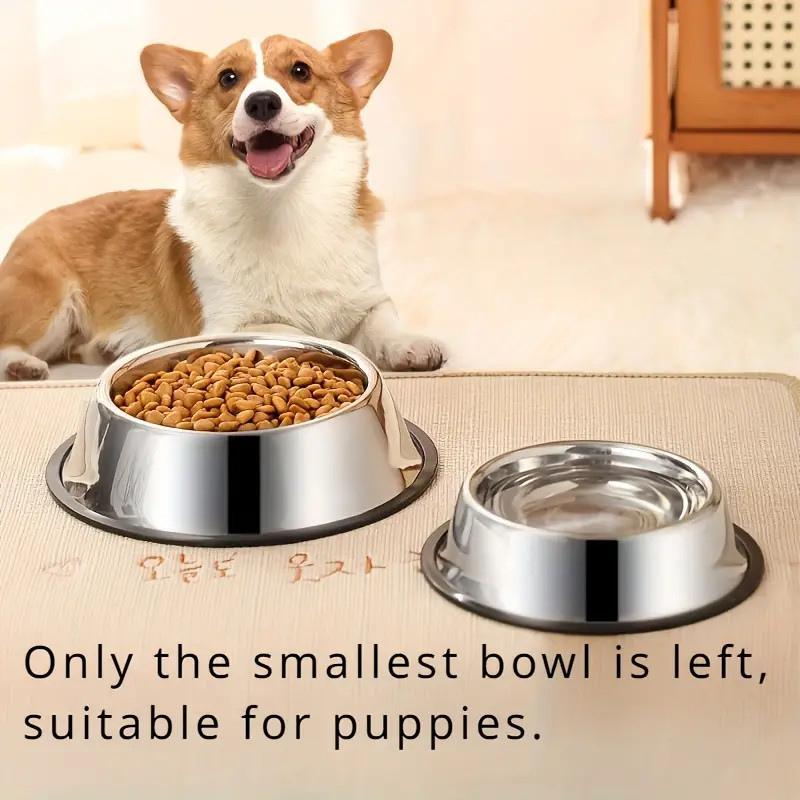 Non-slip Stainless Steel Dog B - đánh giá và giá Pet Supplies Dropshipping