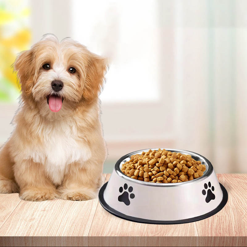 Stainless Steel Large Capacity - đánh giá và giá Pet Supplies Coupon
