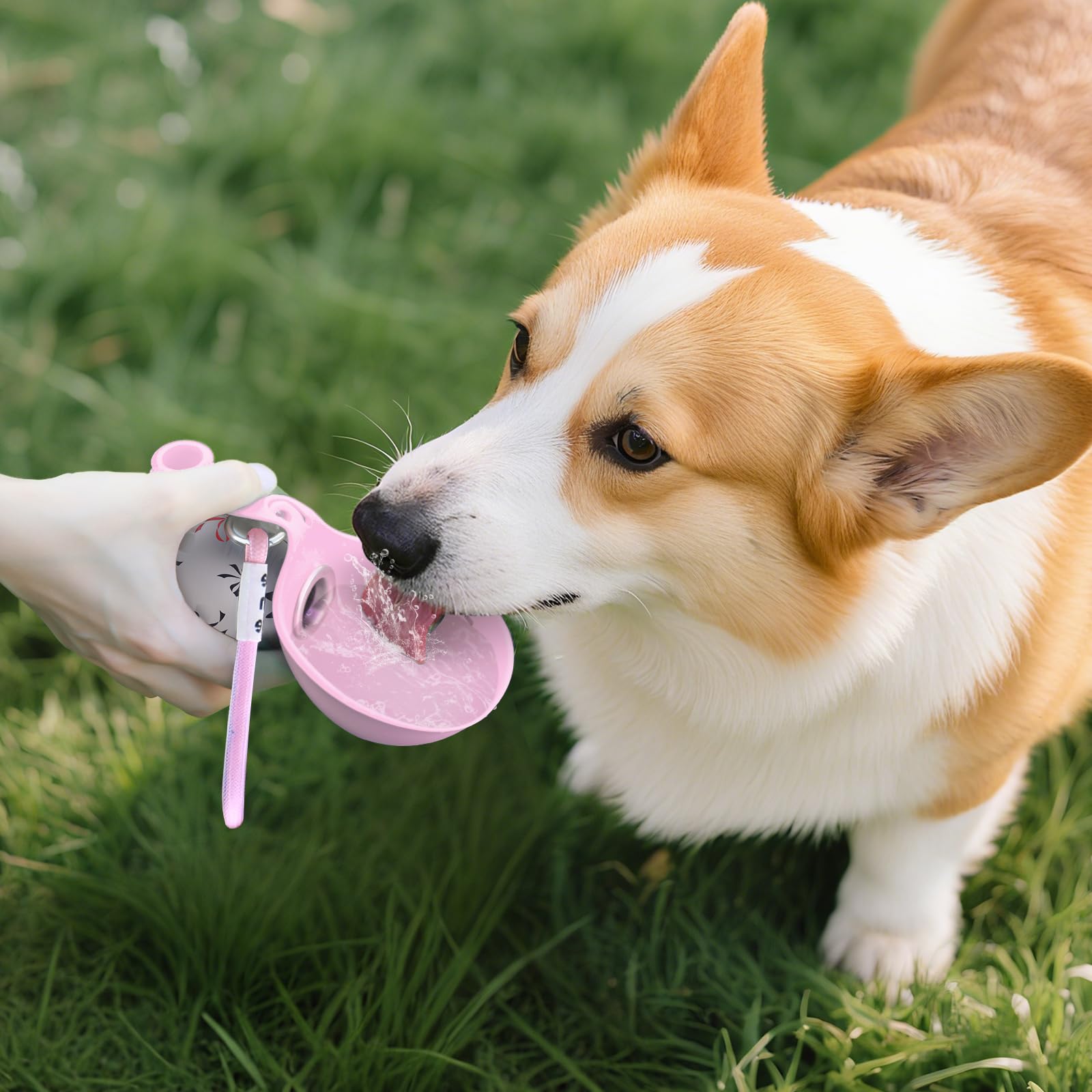 2-in-1 Portable Dog Water Bott - đánh giá và giá Pet Supplies Dropshipping
