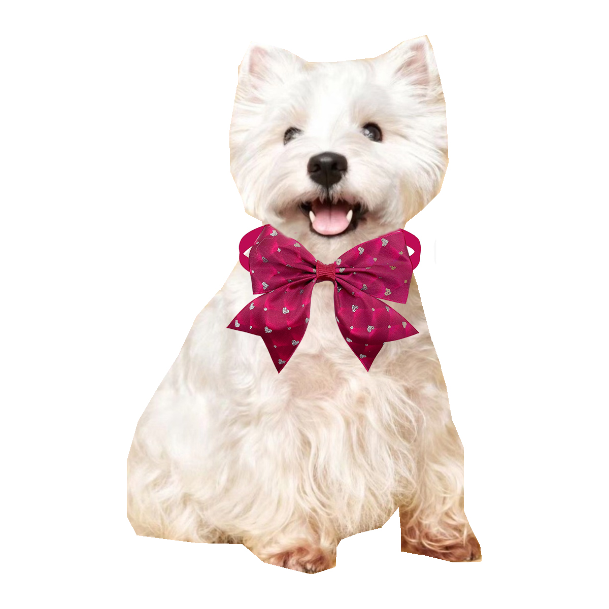 50/100 Viên Cho Chó Thắt Yêu P - đánh giá và giá Pet Supplies Coupon