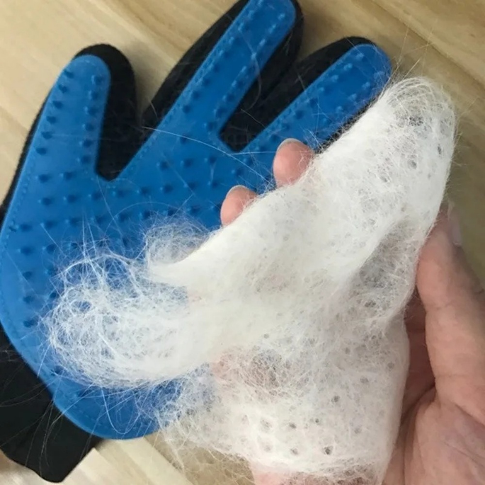 Pet Cat Dog Grooming Gloves Ca - đánh giá và giá Pet Supplies Dropshipping