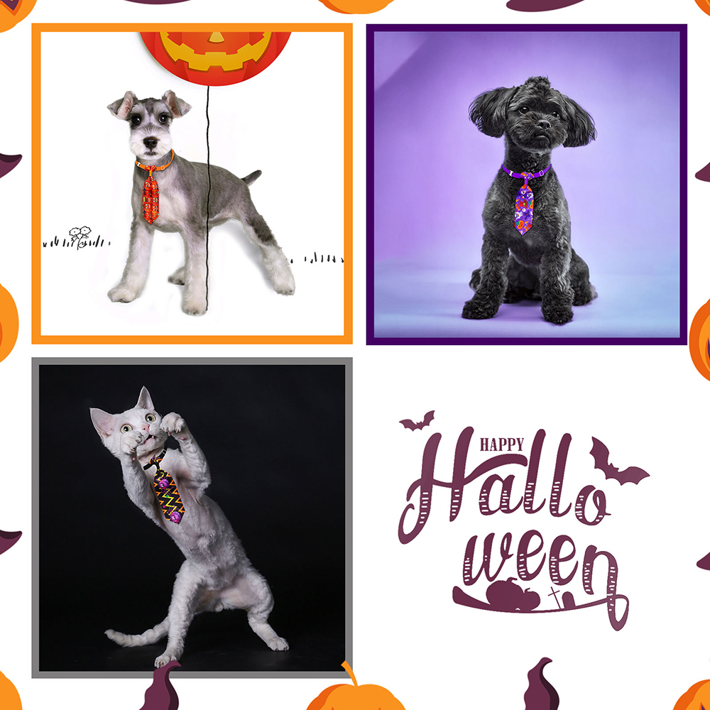 50/100pcs Halloween Dog Groomi - đánh giá và giá Pet Supplies Coupon