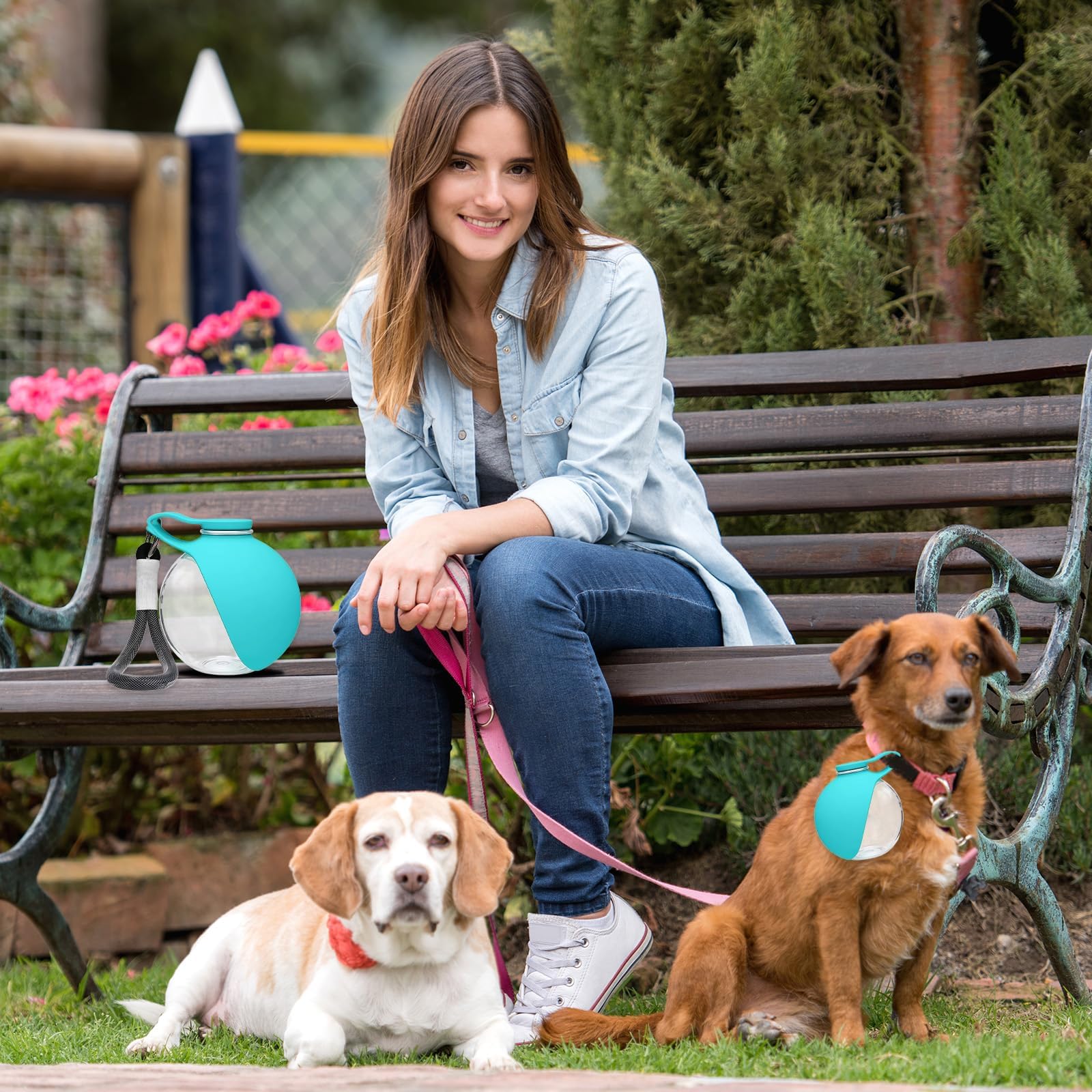 New 2026 2 in 1 Portable Dog W - đánh giá và giá Pet Supplies Dropshipping