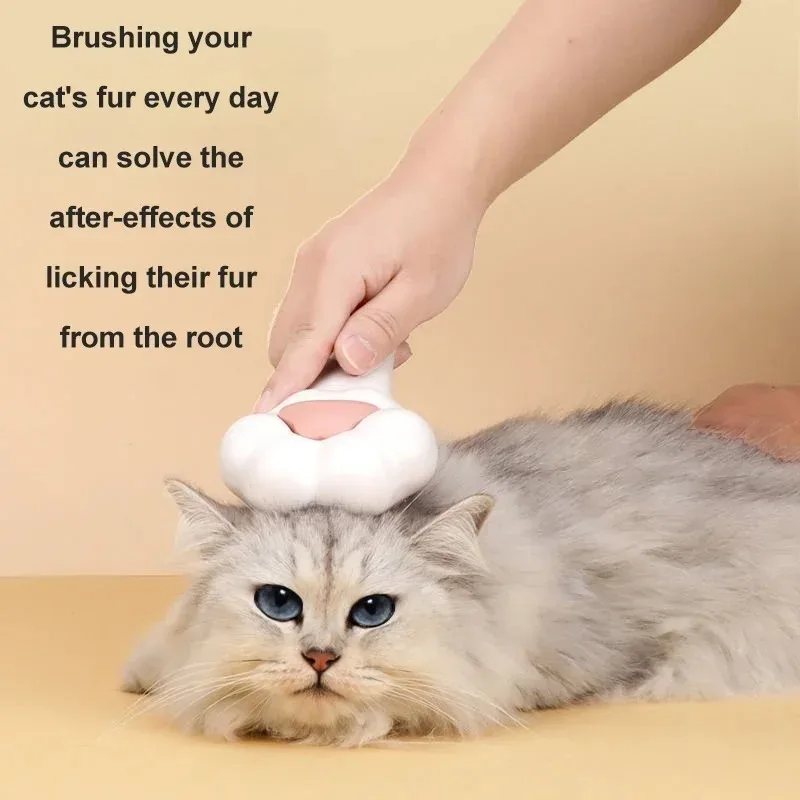 Cute Cat Paw Grooming Brush Pe - đánh giá và giá Pet Supplies Dropshipping