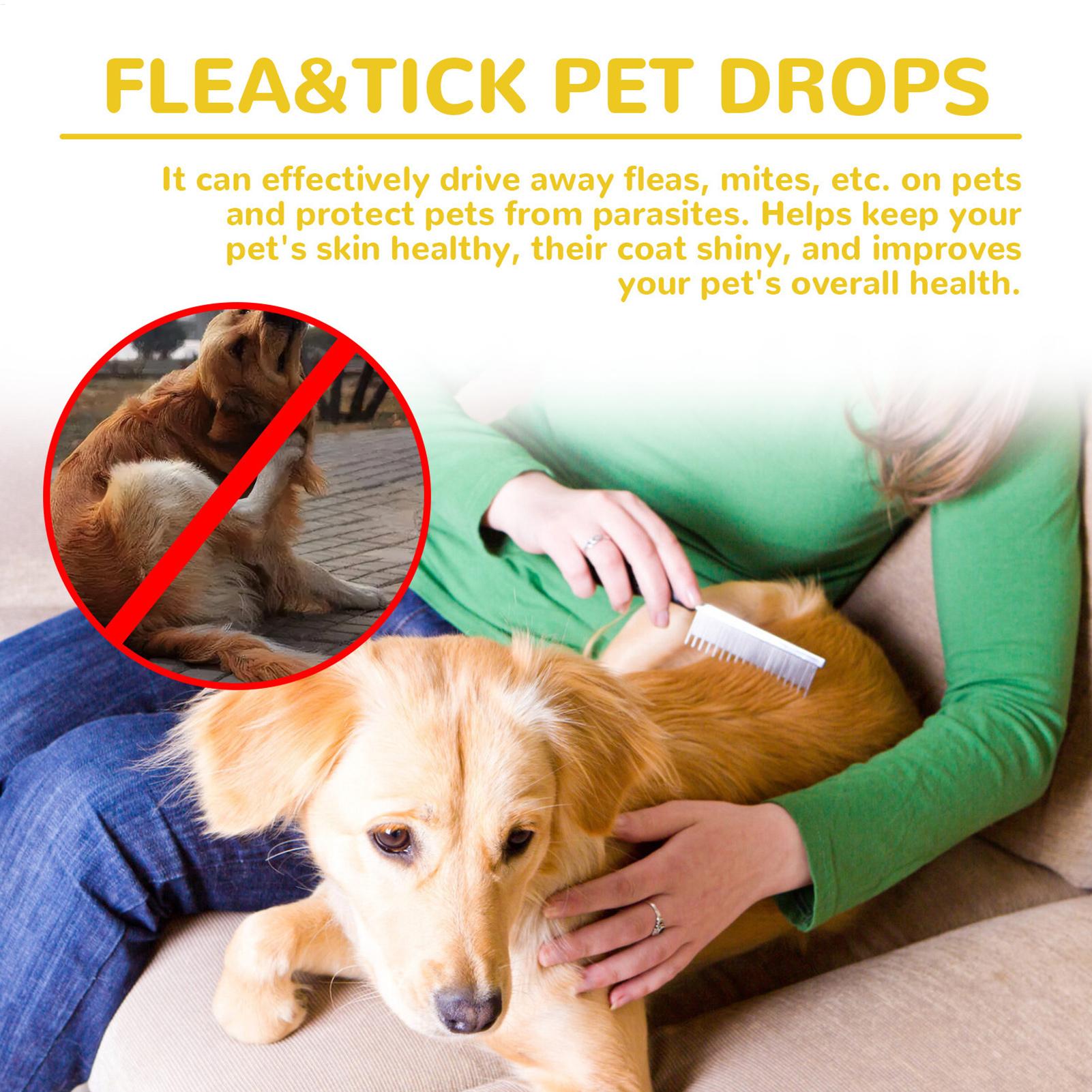 Cat Anti Flea Drops Flea Lice  - đánh giá và giá Pet Supplies Dropshipping