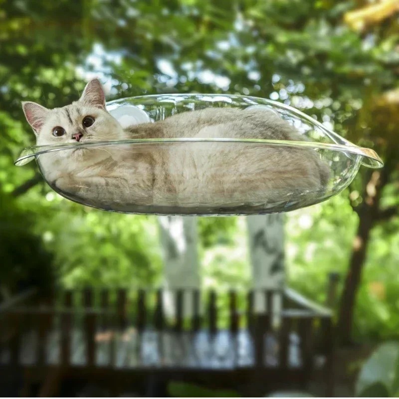 Window Bed for Cats Kitten Acc - đánh giá và giá Pet Supplies Delivery
