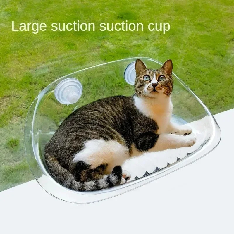 Window Bed for Cats Kitten Acc - đánh giá và giá Pet Supplies Delivery
